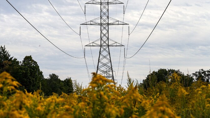 Estonia, Latvia begin feasibility studies for fourth electricity connection | News