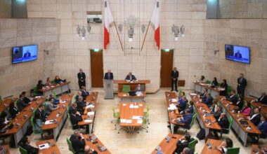PN's leader Alex Borg questions timing of debate on eve of EU summit