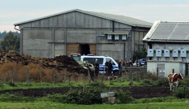 Darum vergrub der Täter die Leiche nicht