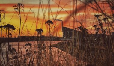 “Danmark er fladt, gråt og kedeligt, nabolandene er flottere” Danmark: