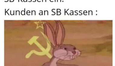 Ich_iel