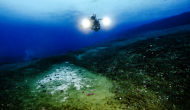 Planet-heating methane is escaping from cracks in the Antarctic seabed as the region warms