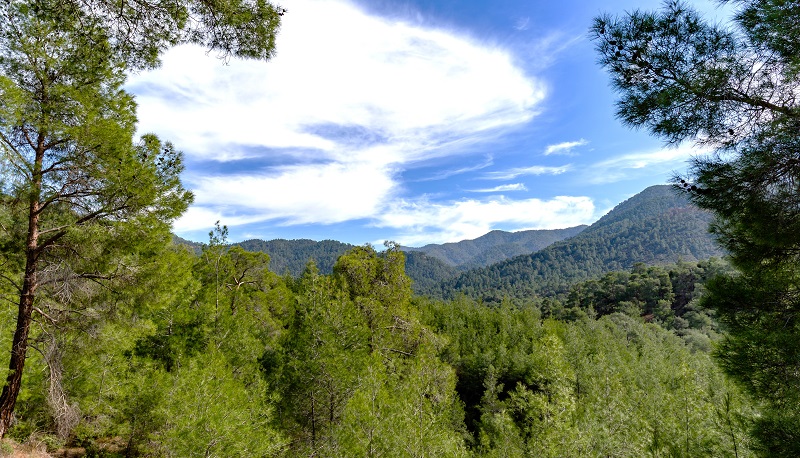 cover Pressing Cyprus&#8217; pause button