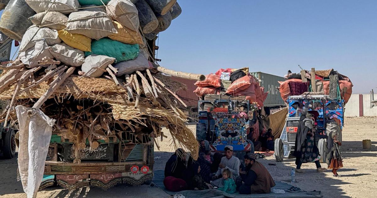 Afghanistan claims 58 Pakistani soldiers killed in border operations