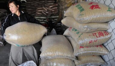 Argentina wins US-China trade war with a $20 bn bailout and soaring soyabean sale – Firstpost