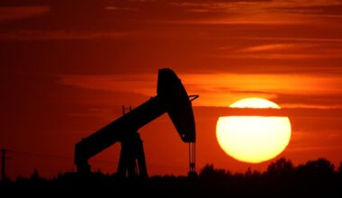 Crude oil futures rise as industry data shows decline in US fuel inventories 