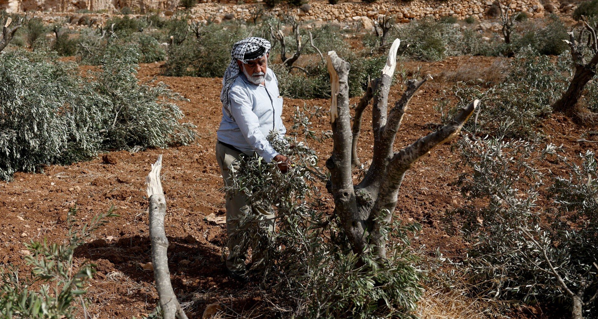 In the occupied West Bank, the war continues | Israel-Palestine conflict
