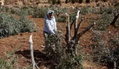 In the occupied West Bank, the war continues | Israel-Palestine conflict