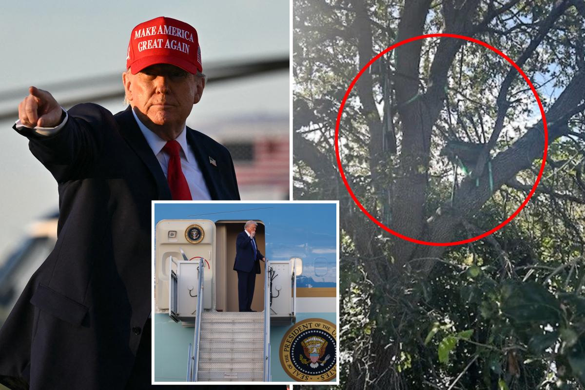 Secret Service investigating possible sniper's nest with sight line to Trump Air Force One arrival near Palm Beach airport