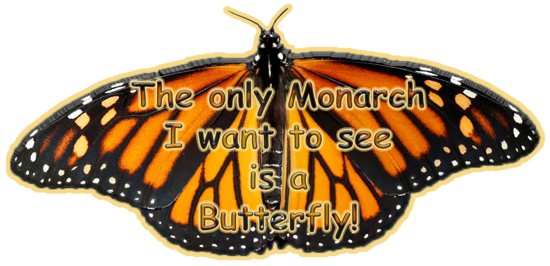 20251019-project-image-WesternMonarchButterfly.png