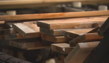 Trump orders more tariffs on Canadian softwood lumber