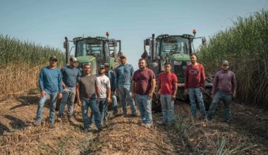 Louisiana Sugarcane Farmers Say They Depend Heavily on Migrant Workers From Mexico