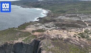 Cool weather prescribed burn on WA's south coast should be expanded, environmental group says