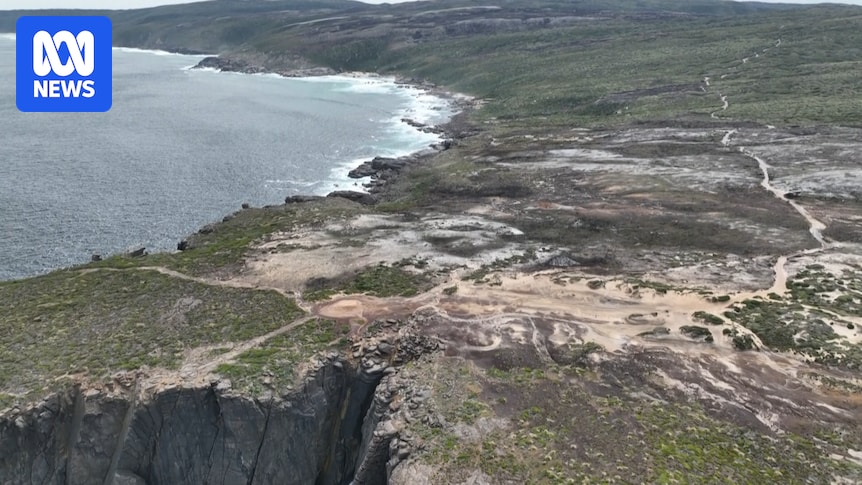 Cool weather prescribed burn on WA's south coast should be expanded, environmental group says