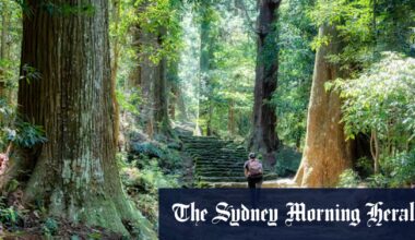 Explore Japan’s spiritual heart south of Osaka