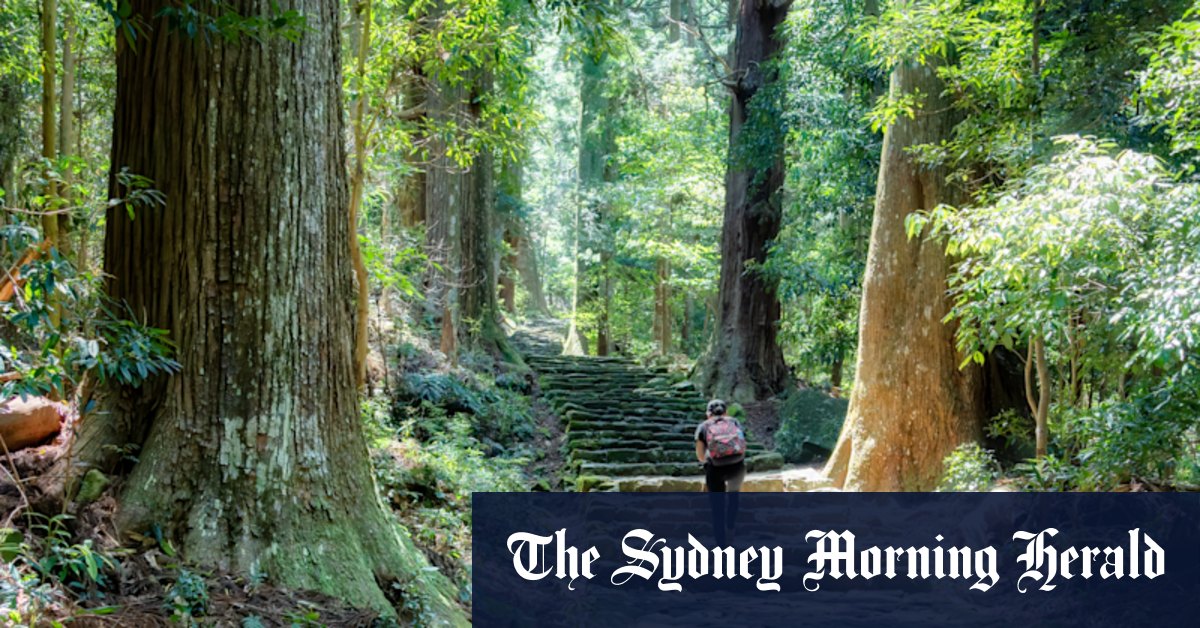 Explore Japan’s spiritual heart south of Osaka