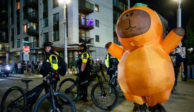 What anti-Trump protests can learn from Portland's tactics