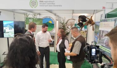 Slovensko požiadalo o posun účinnosti EUDR minimálne o rok: Implementácia nariadenia o odlesňovaní je neúmerne náročná | LesMedium.sk