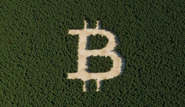 3 Key Drivers Behind Bitcoin's 4% Move Over the Weekend