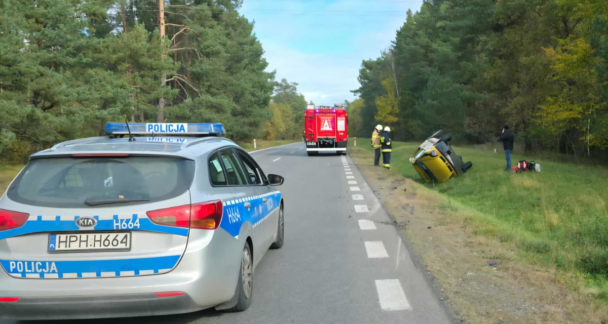 Dachowanie w Młynarzach - Aktualności