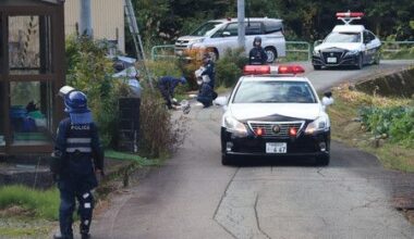 Man Killed in Bear Attack in Northeastern Japan