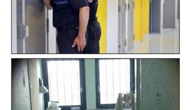 Jusqu'ici tout va bien