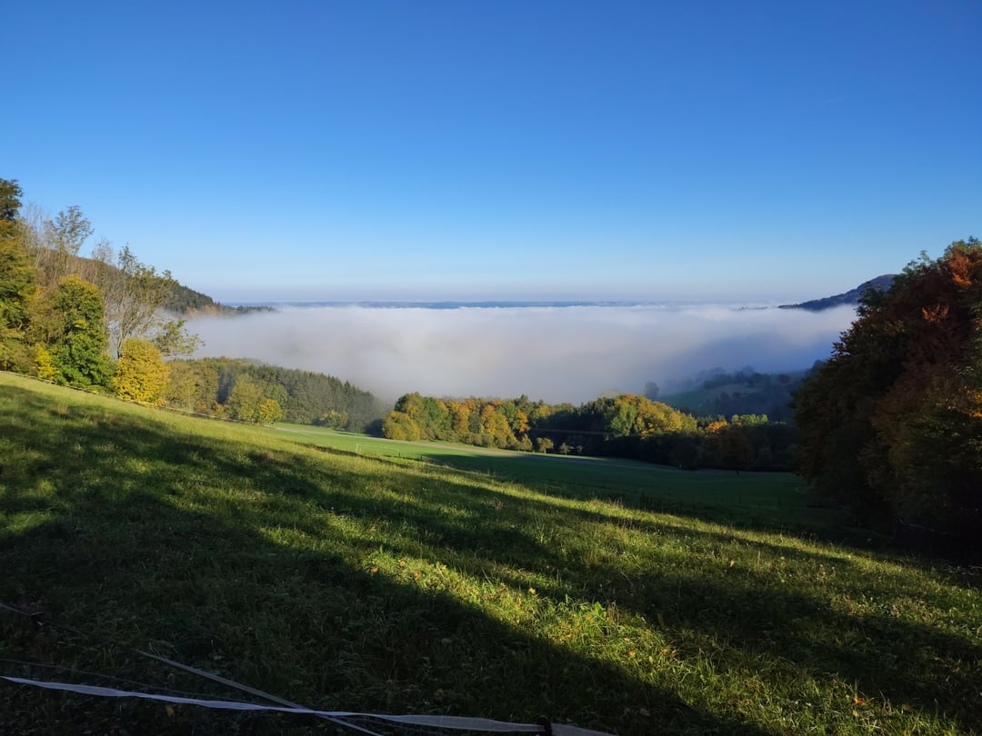 Herrlicher Herbstmorgen auf der Schwäbischen Alb mit Deutschem - und Fransenenzian