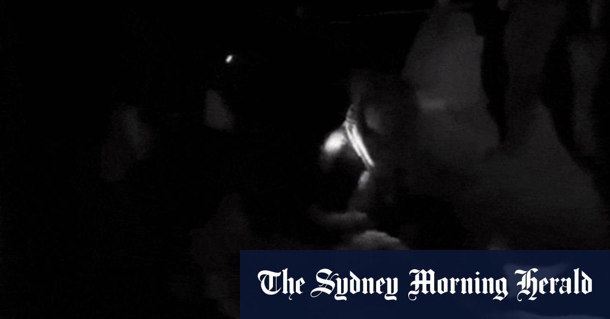 Australian Gaza flotilla activists allege abuse by Israeli authorities in DFAT statements
