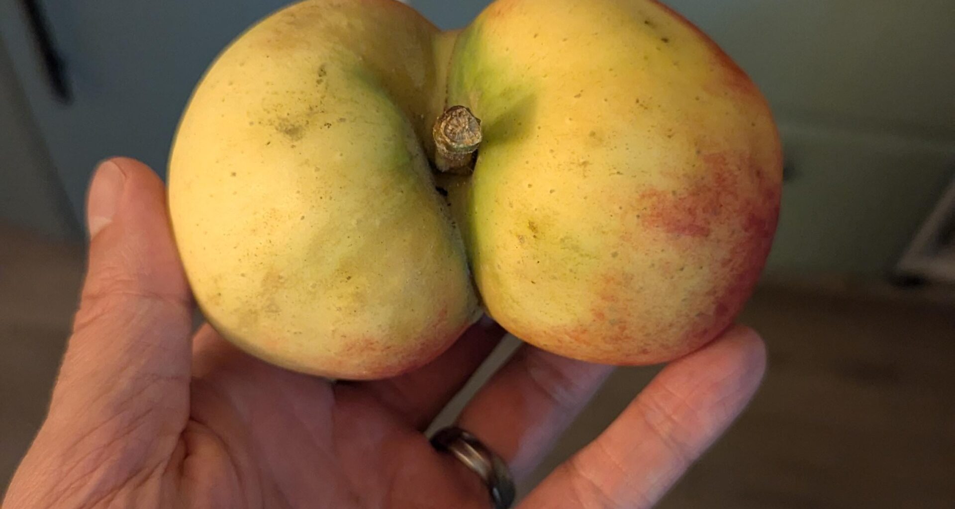 Weil ein andere Nutzer etwas ähnliches gepostet hat.