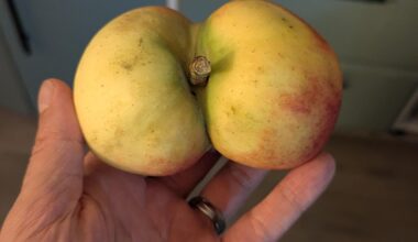 Weil ein andere Nutzer etwas ähnliches gepostet hat.