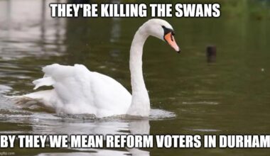 Reform voter Michael Whittle of Stanley, County Durham has been found guilty of killing a Swan in Durham. The avid Faragist and flag shagger was found guilty today.
