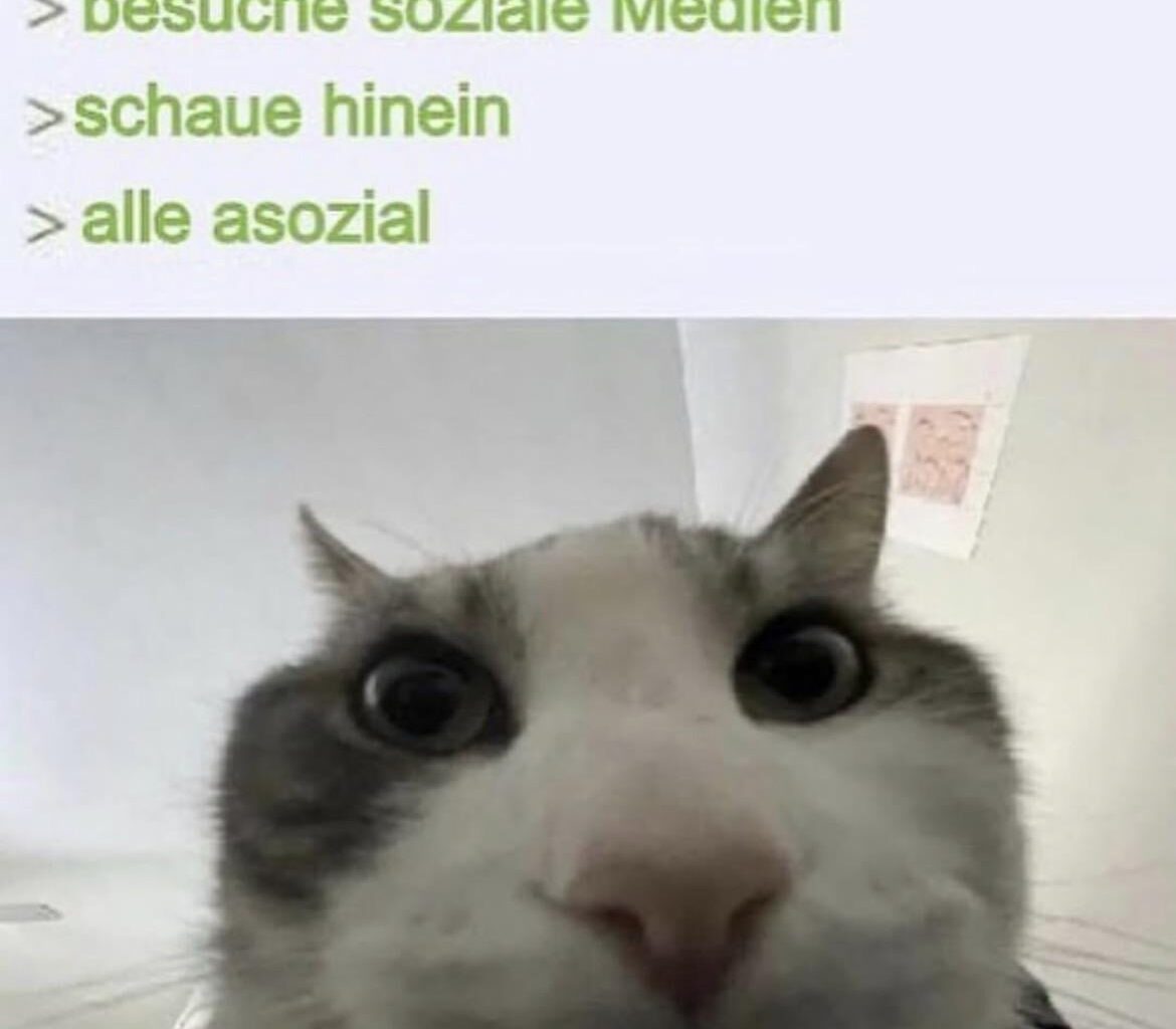 ich_iel