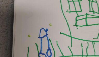 Dessin d'un méricain de 5 ans, apparemment spécialiste de la politique rançaise .