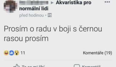 Všichni řeší Turka, přitom to byl jenom auto-correction z akvaristiky ...