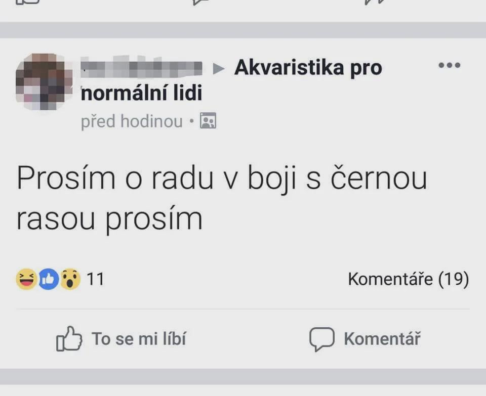 Všichni řeší Turka, přitom to byl jenom auto-correction z akvaristiky ...