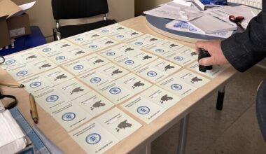 Preliminary data: Turnout at Estonia's 2025 local election rises to 59.2% | News