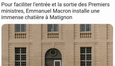 Une bouffée de croquettes et il est reparti