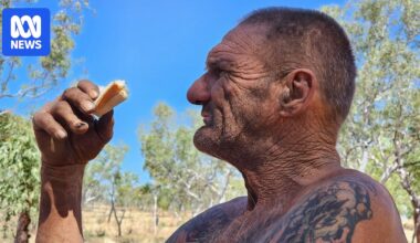 Active ground search for missing man Mark Sear called off in the Kimberley