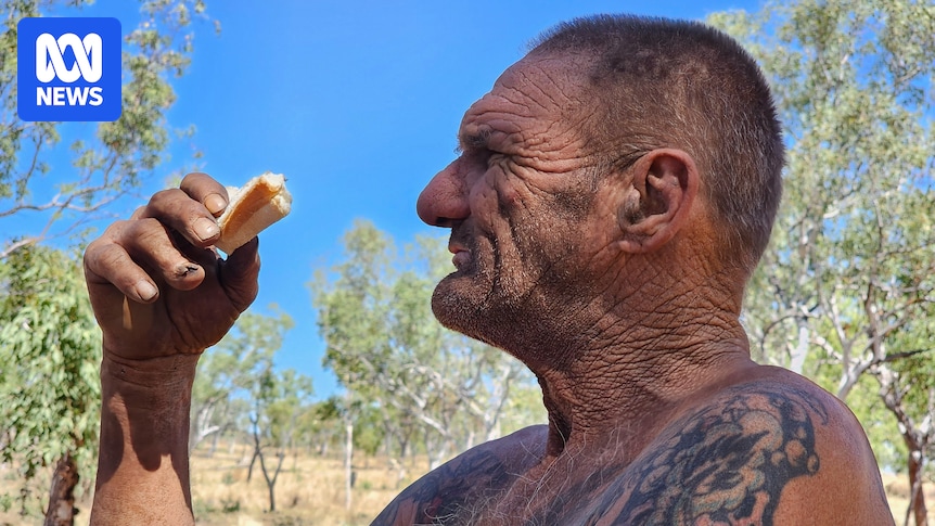 Active ground search for missing man Mark Sear called off in the Kimberley