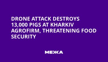 Drone Attack Destroys 13,000 Pigs at Kharkiv Agrofirm, Threatening Food Security
