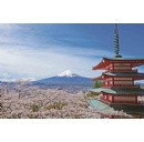 Japan Named Worlds #1 Destination for Third Consecutive Year by Condé Nast Travelers Readers