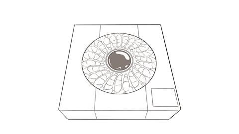 Iceland King Prawn rings