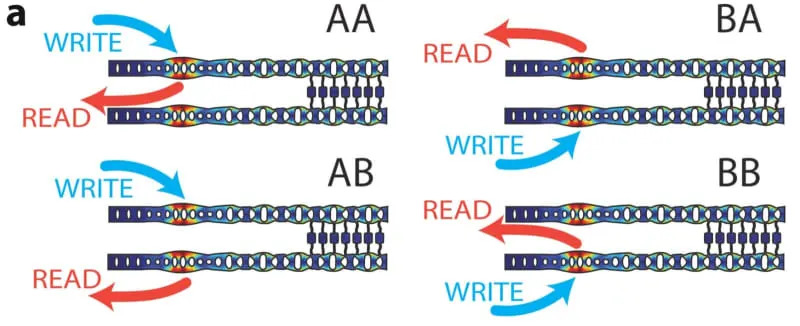 Different permutations of exciting and reading the two cavities. (CREDIT: Optica Quantum)