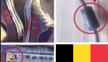 I still have no clue...