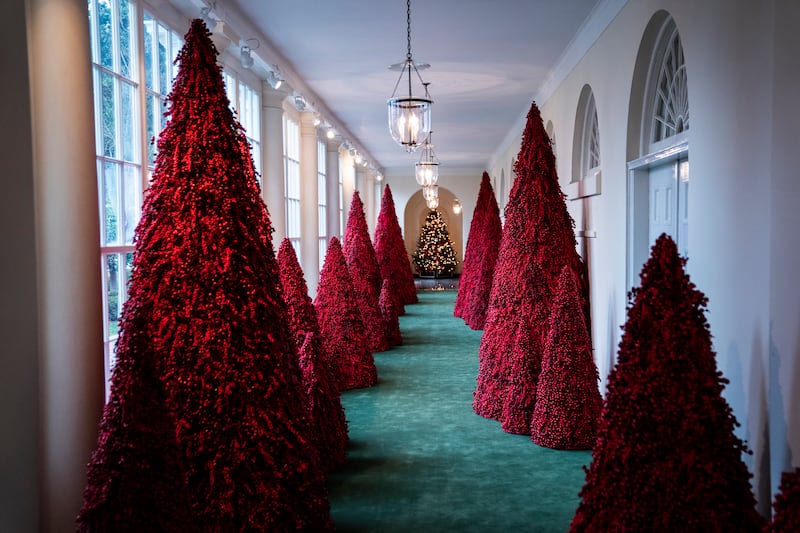 Trees line the East Colonnade during the White House Christmas preview in the East Wing of the White House.