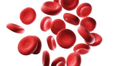Revolutionizing blood diagnostics with real-time QPM technology