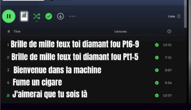 Parce que j'ai oublié de trouduire, voici la meilleure version de mon poteau précédent