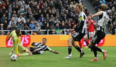Liga dos Campeões. Newcastle - SL Benfica