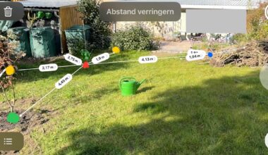 Wo würdet ihr einen Feldahorn hinsetzen?