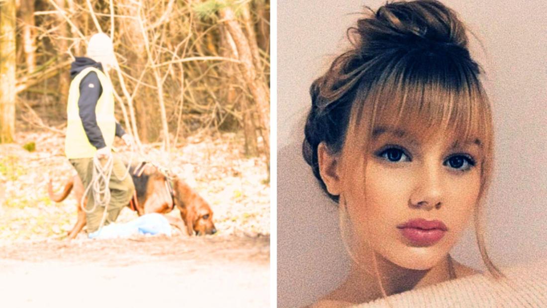 Rebecca Reusch Suchhund in einem Waldgebiet in Brandenburg im Einsatz